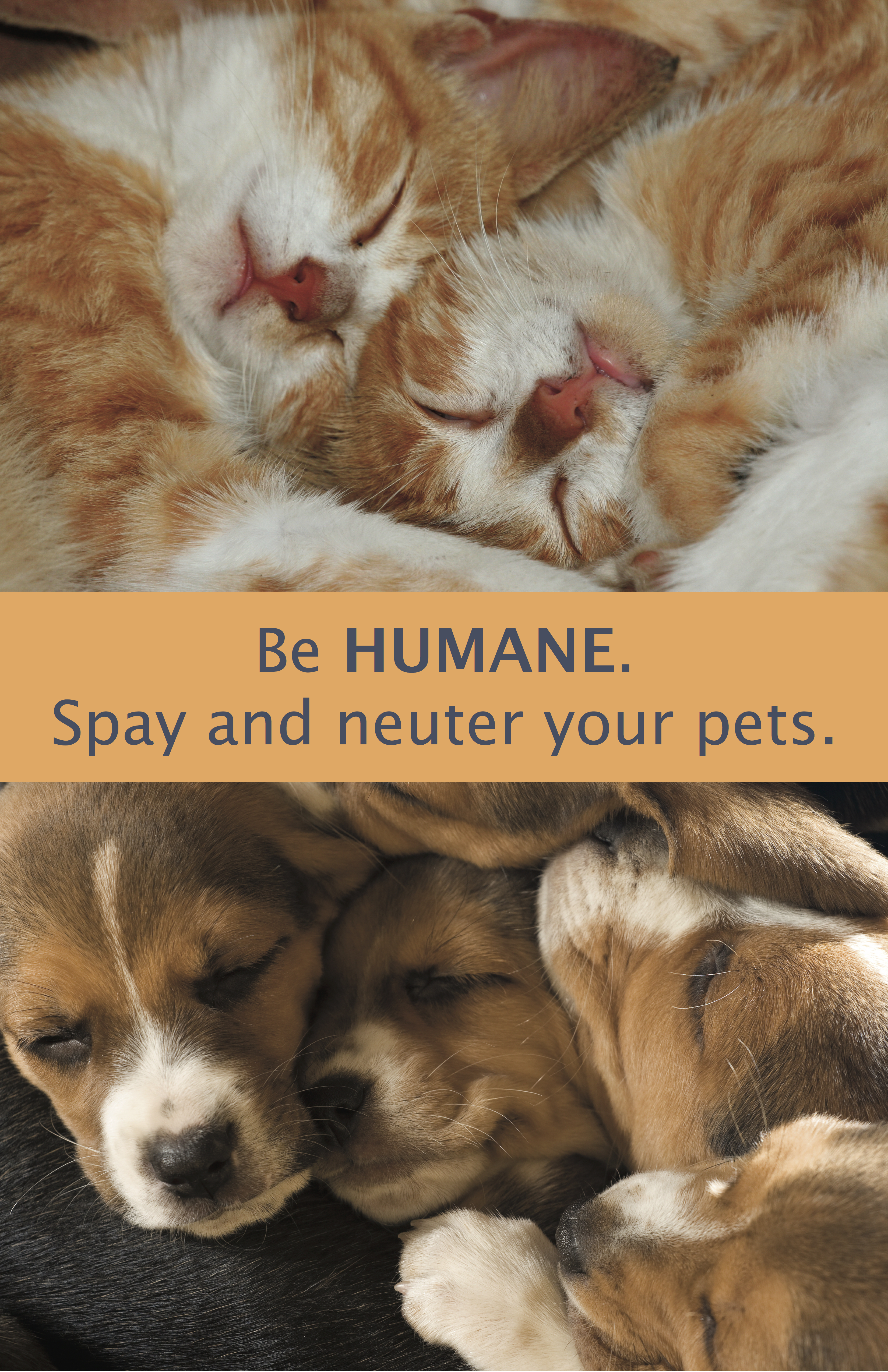 be humane