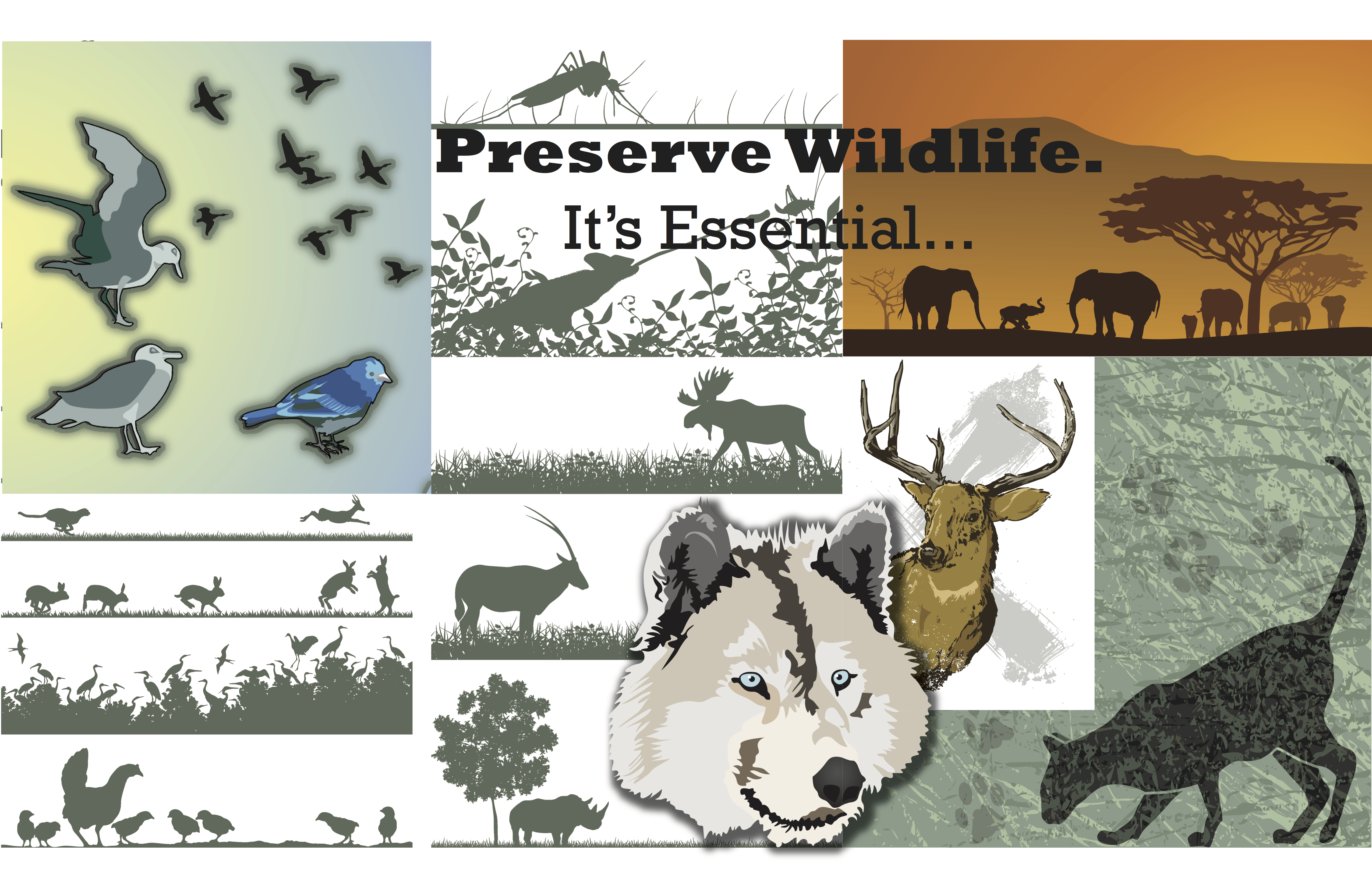 preserve wildlife